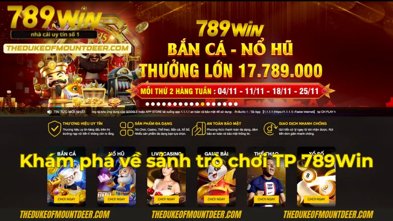 Vươn Tầm Cao Mới với 789win - Cổng Giải Trí Trực Tuyến Đẳng Cấp