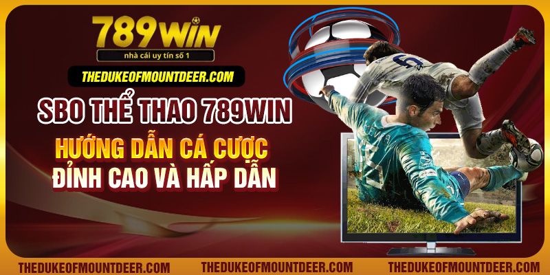 Khám Phá Thế Giới Giải Trí Tại 789win - Nơi Cung Cấp Trải Nghiệm Đỉnh Cao